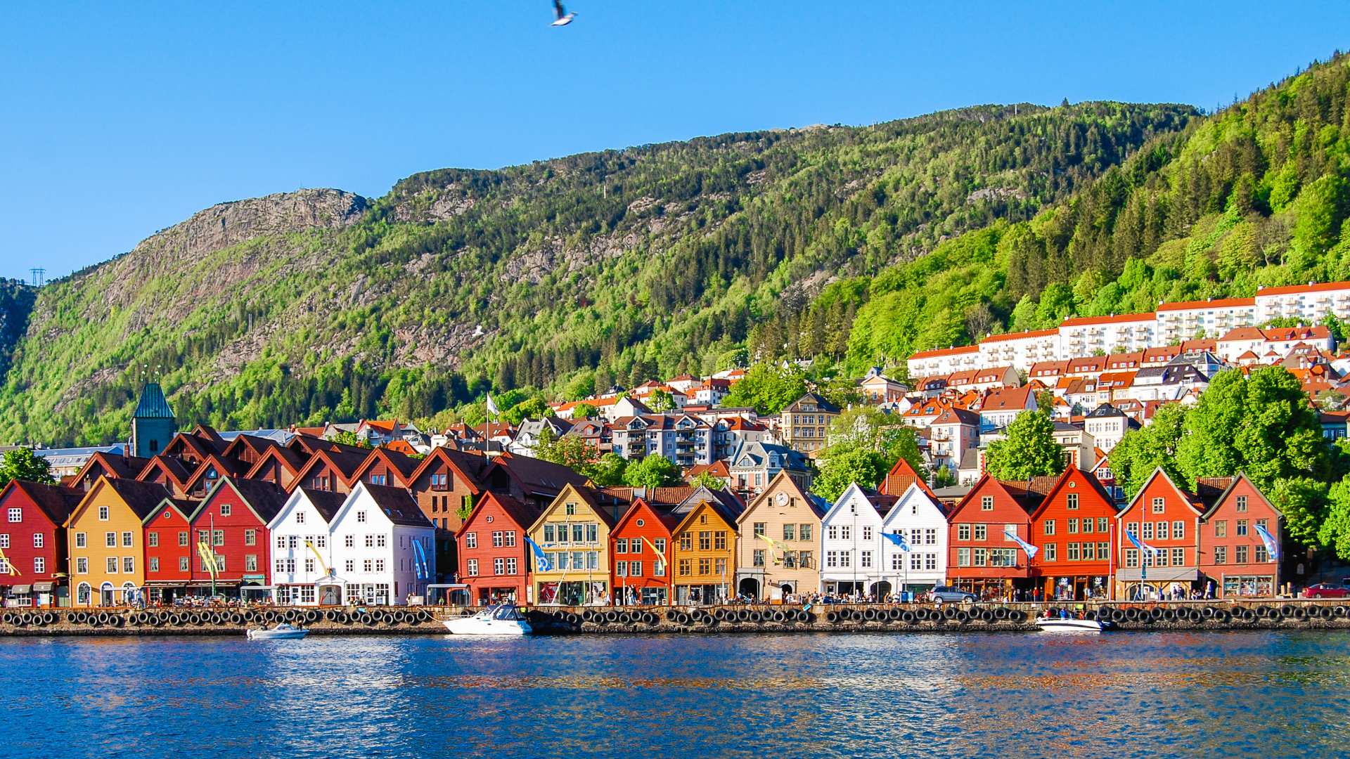 Norvegia Fiordi Tour - 3