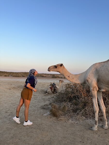 Sharm El Sheikh Short - 2