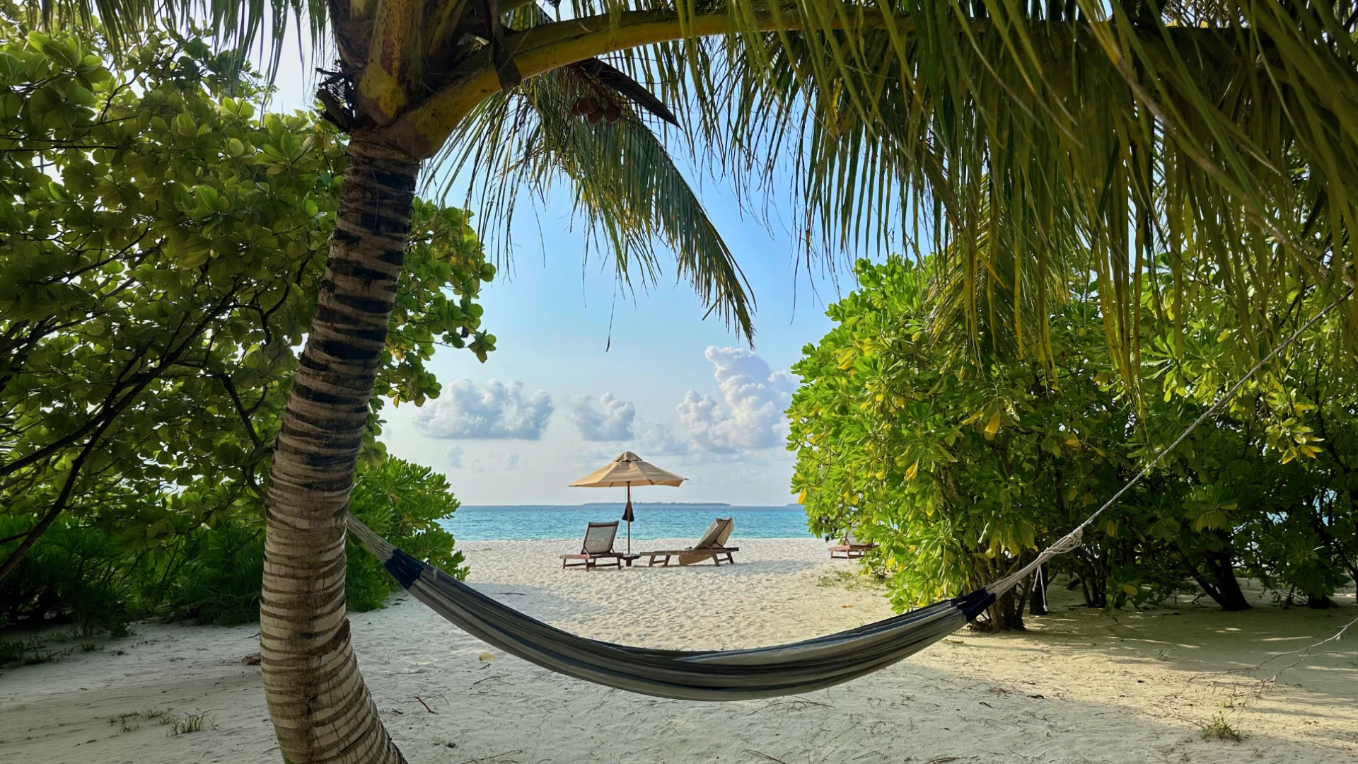 Maldive - 2