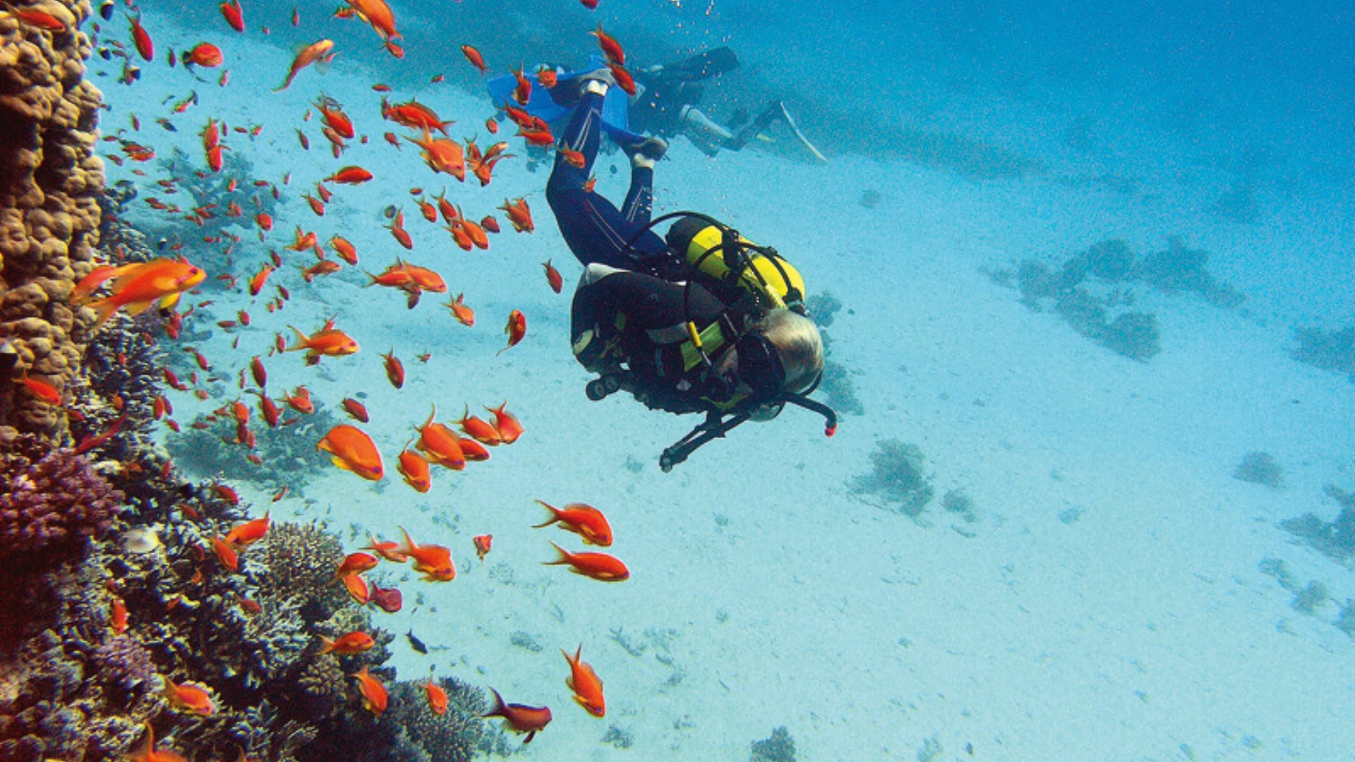 Sharm El Sheikh - 3