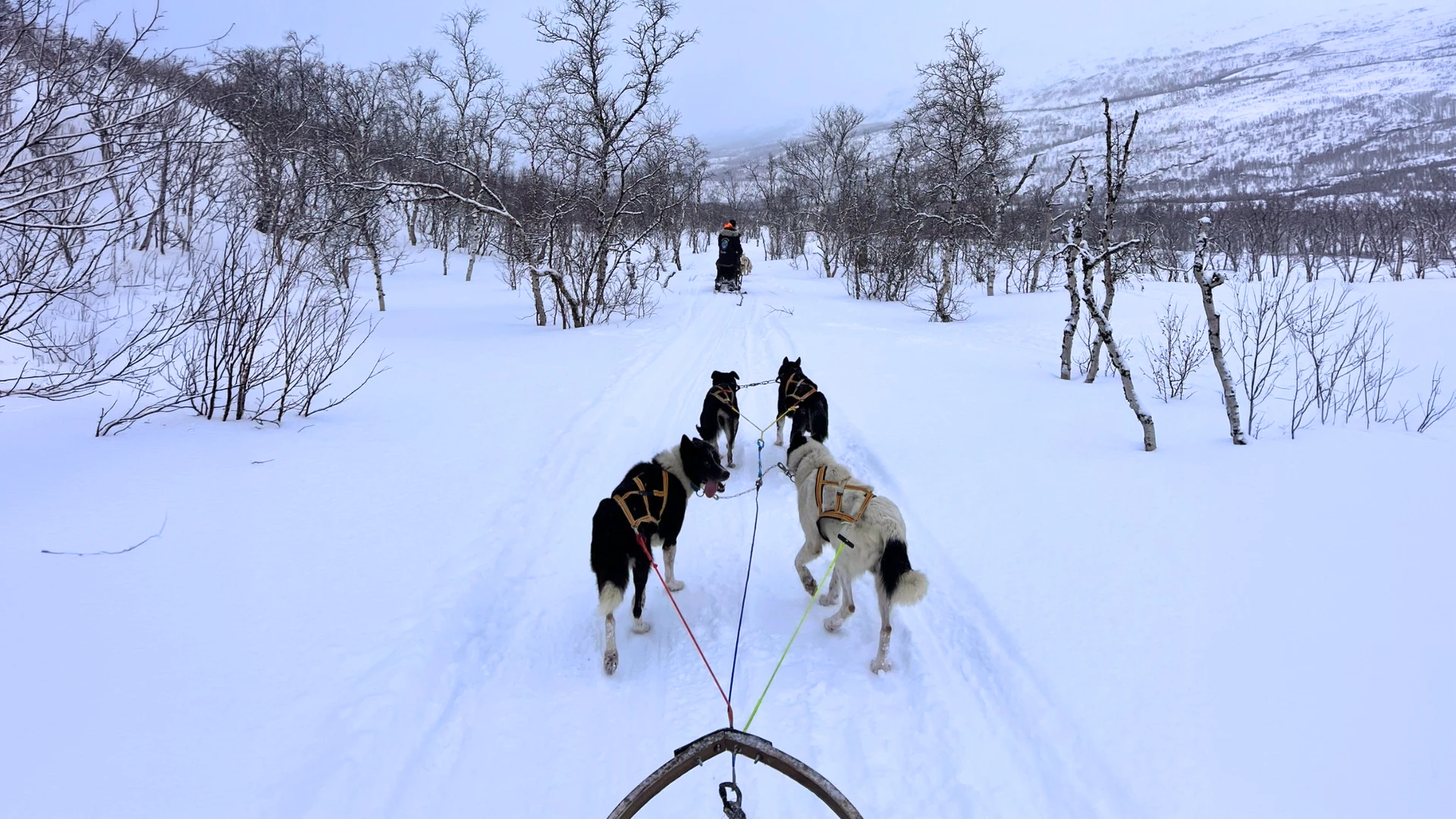 Tromso - 3