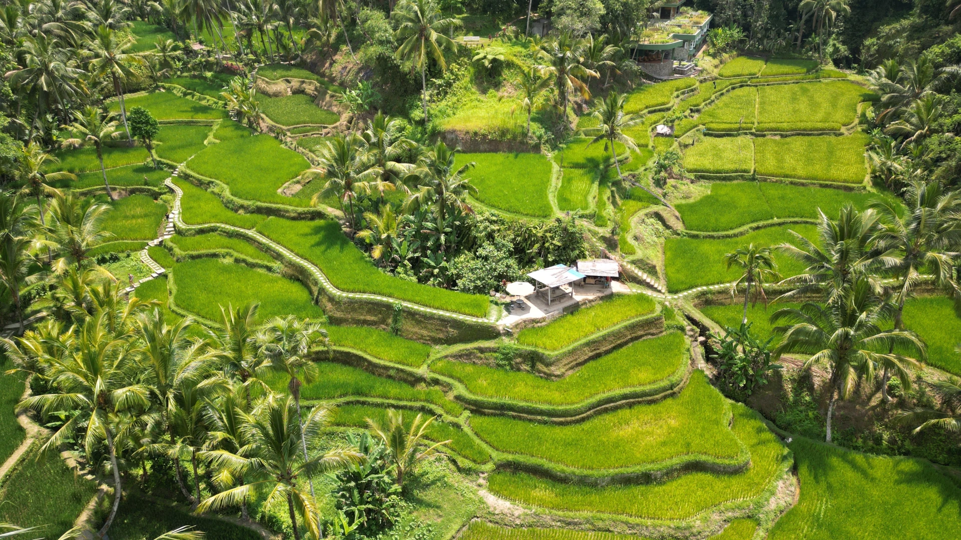 Giava e Bali Tour - 2